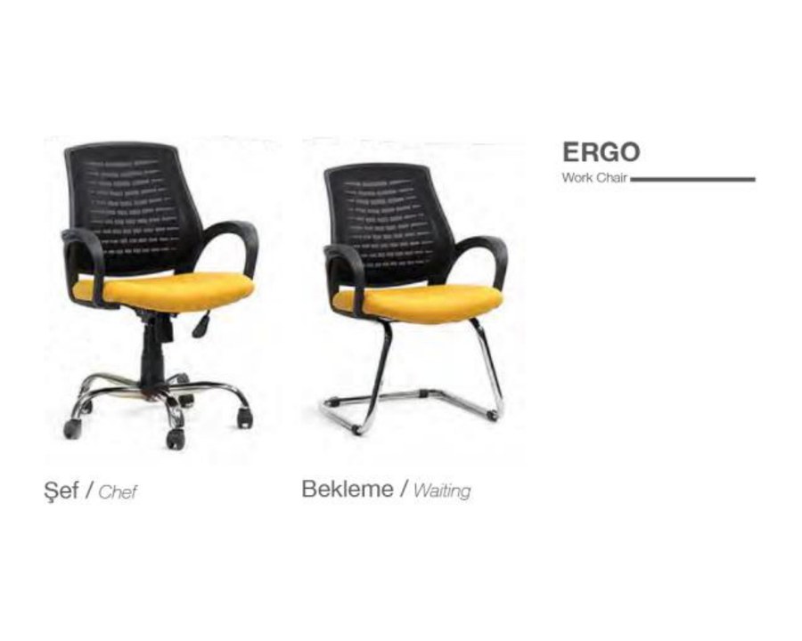 ERGO